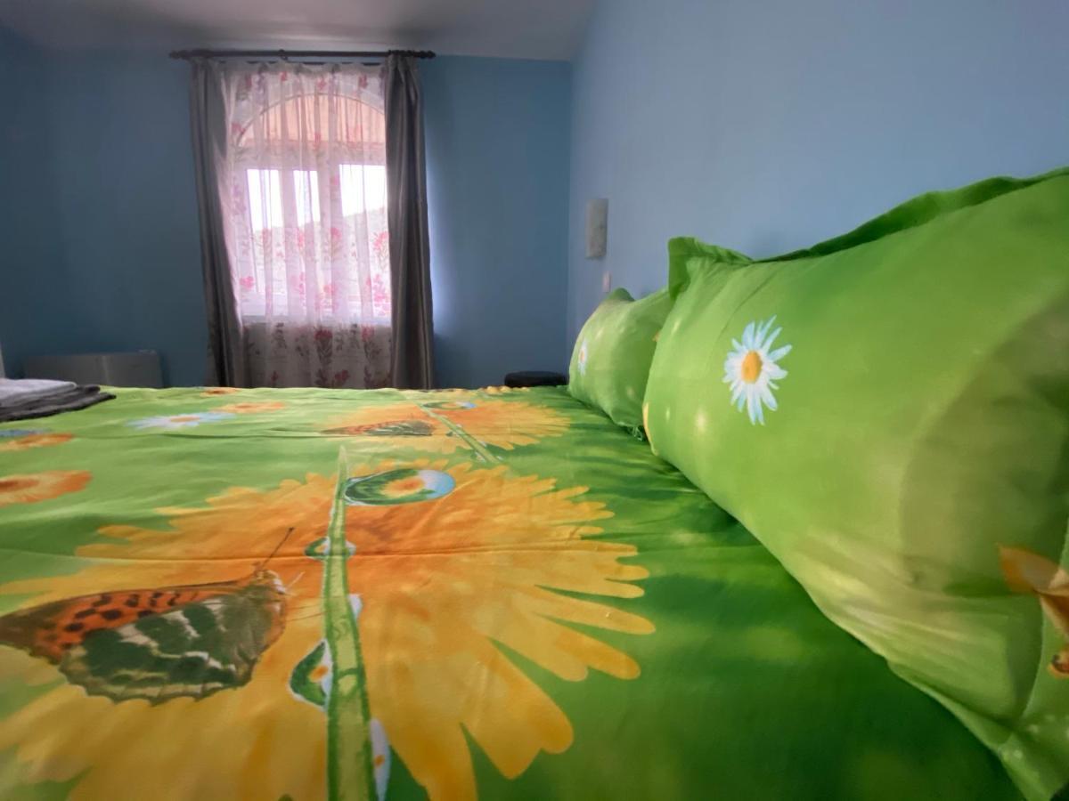 בית הארחה אלבאק 	Casa Cristalina&Dumi מראה חיצוני תמונה