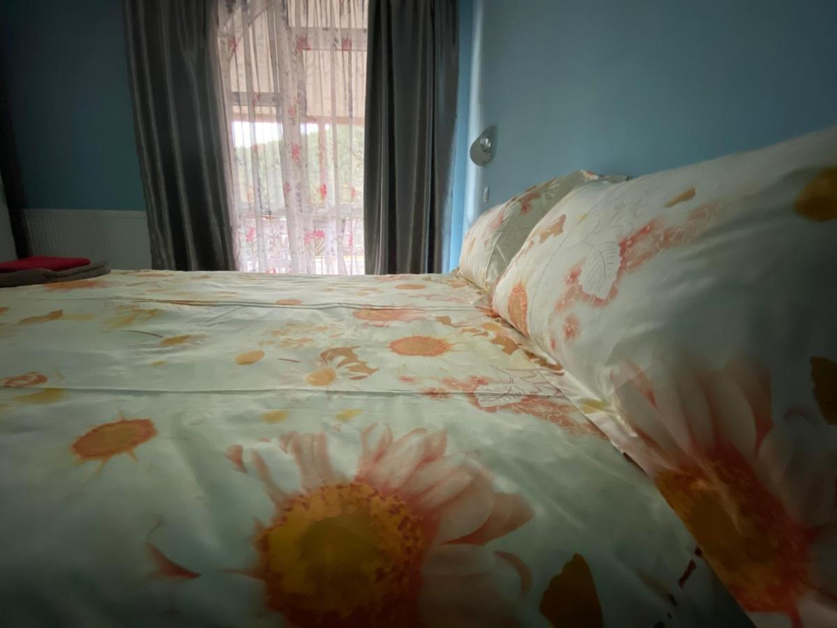 בית הארחה אלבאק 	Casa Cristalina&Dumi מראה חיצוני תמונה