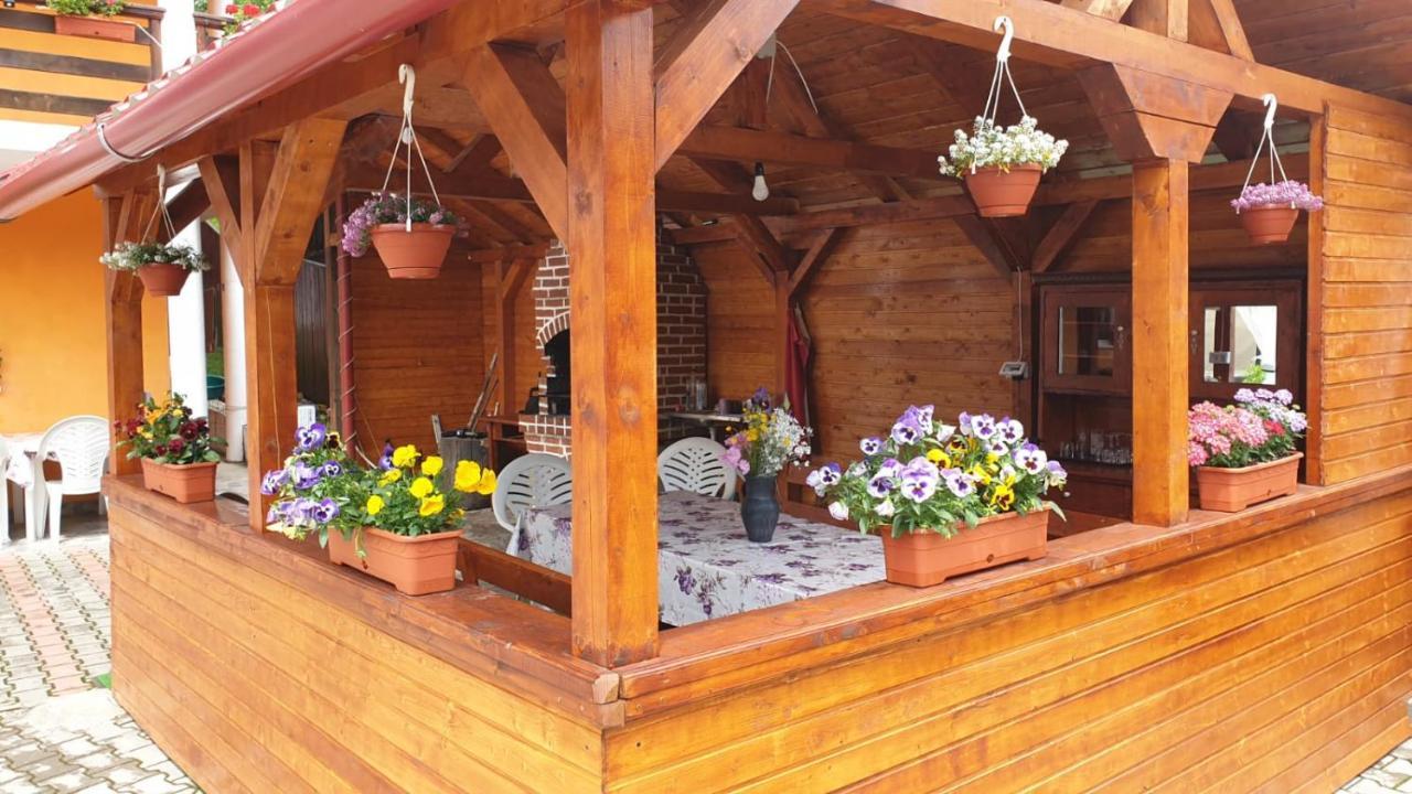 בית הארחה אלבאק 	Casa Cristalina&Dumi מראה חיצוני תמונה