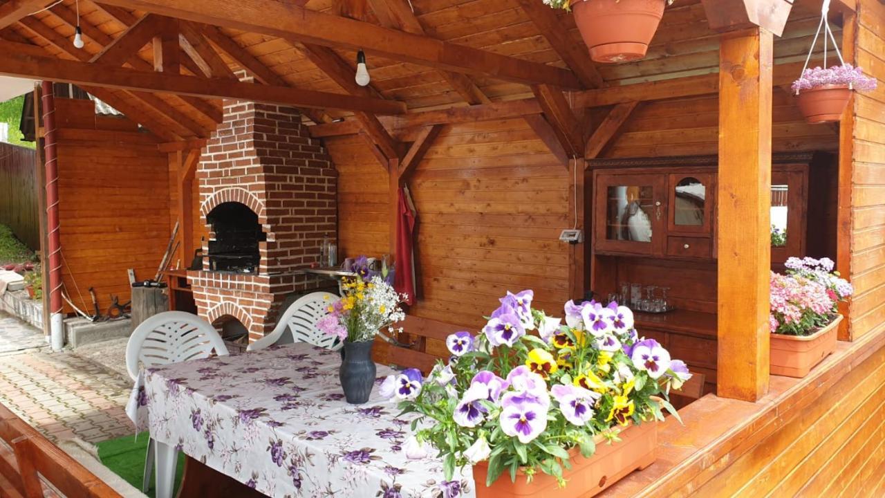 בית הארחה אלבאק 	Casa Cristalina&Dumi מראה חיצוני תמונה