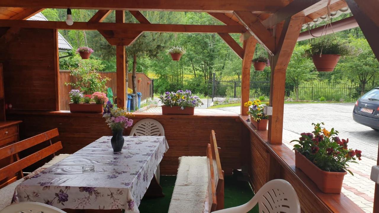בית הארחה אלבאק 	Casa Cristalina&Dumi מראה חיצוני תמונה