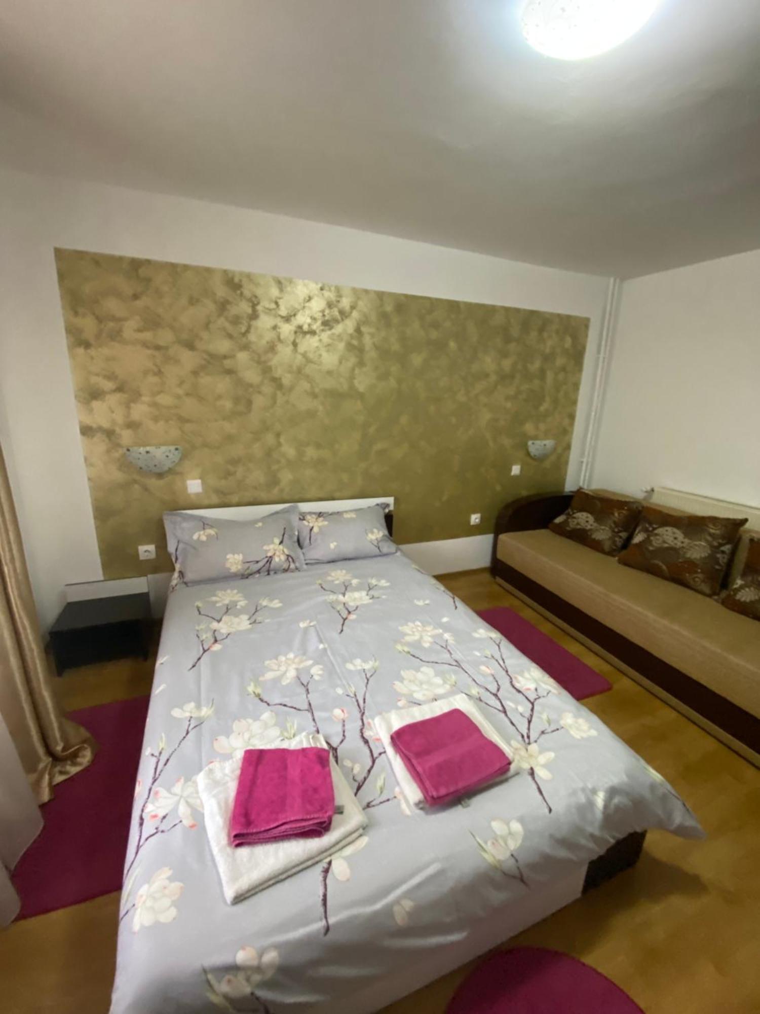 בית הארחה אלבאק 	Casa Cristalina&Dumi מראה חיצוני תמונה